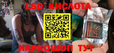 шишки Можга