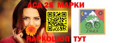 шишки Можга