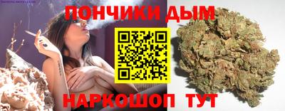шишки Можга