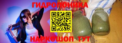 шишки Можга