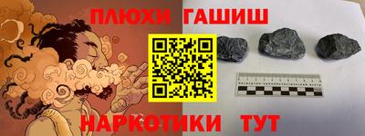 шишки Можга