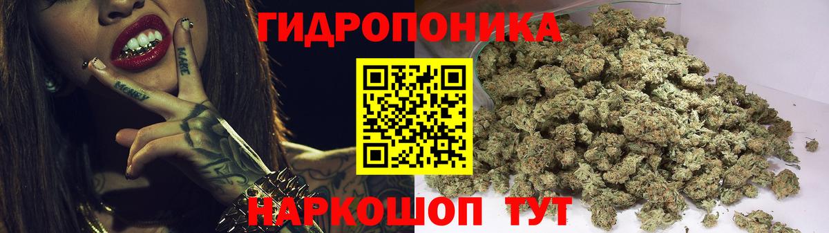 Шишки марихуана AK-47 Урай